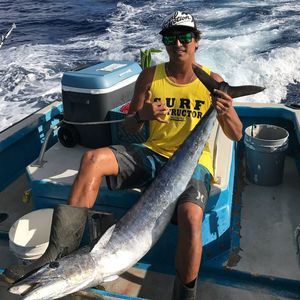 Meet your Posher, Holei